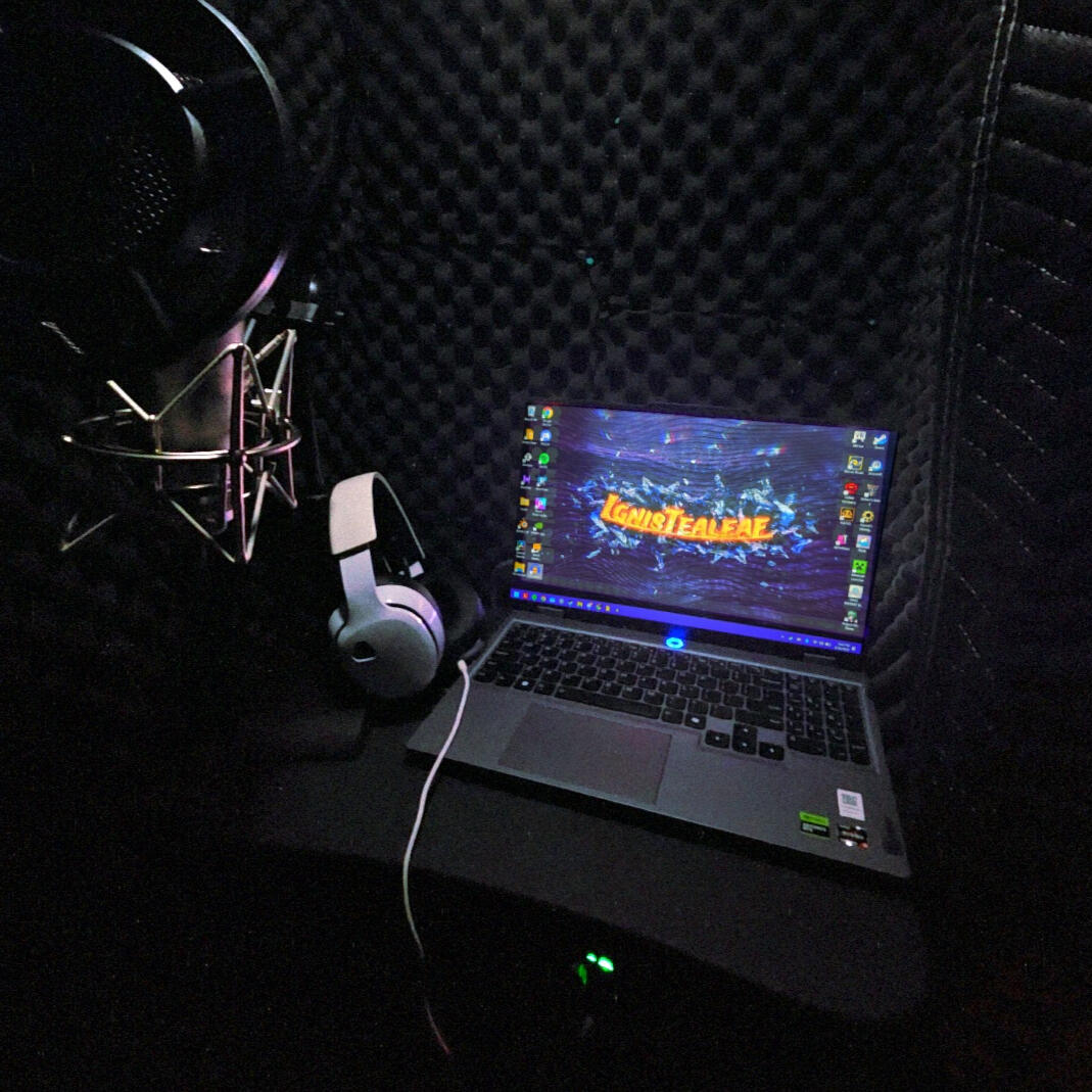 Ignis Tealeaf's Recording Setup